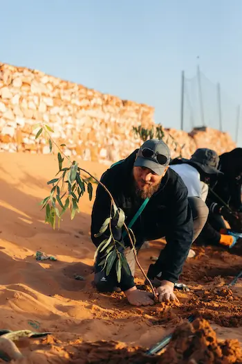 Un homme en train de planter un arbuste 